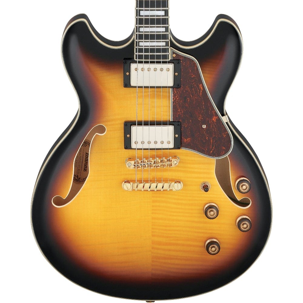 ibanez-as93fm-ays_621f9ce7a60e0.jpg