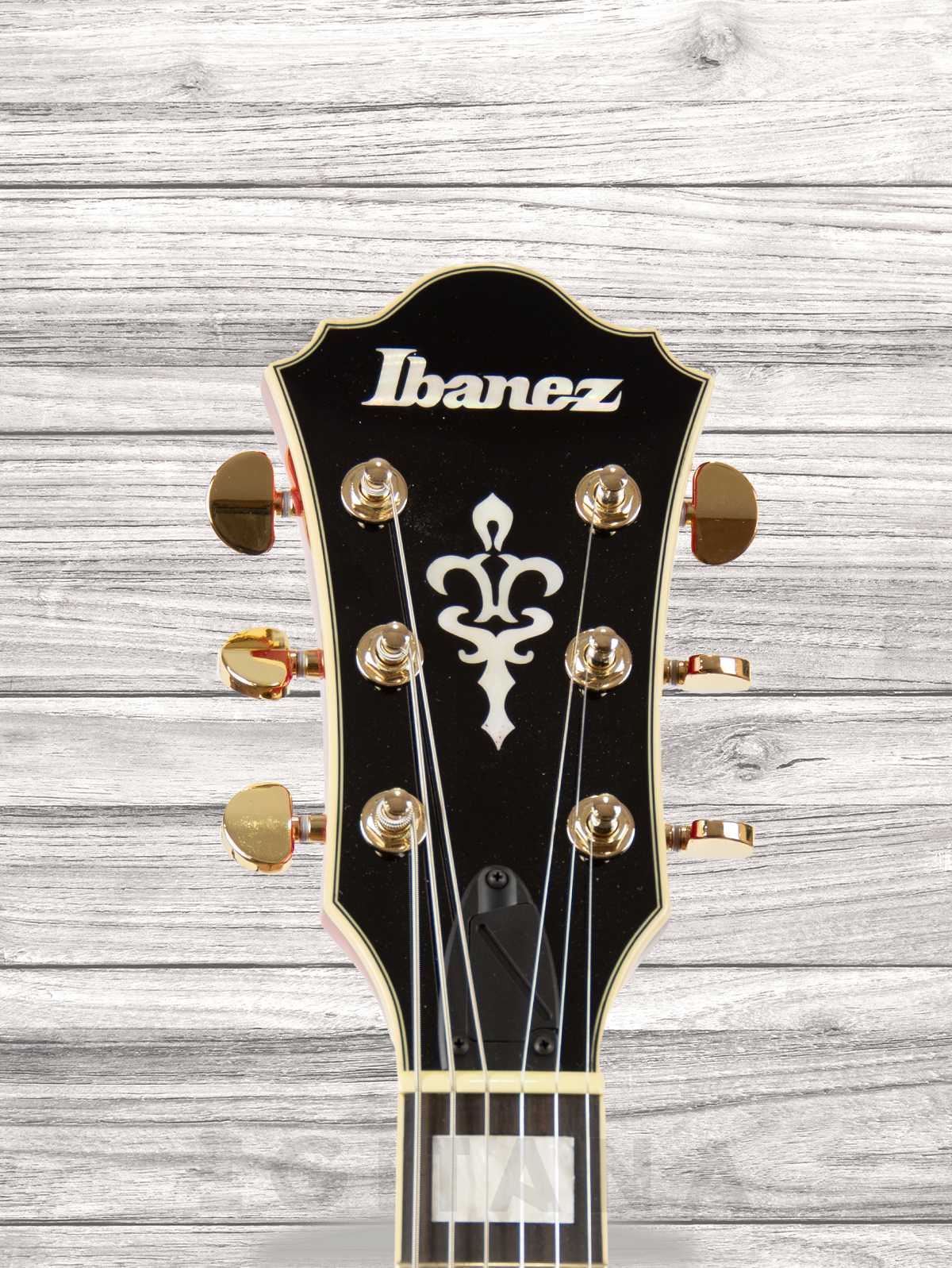 ibanez-as93fm-tcd_60a29799c0005.jpg