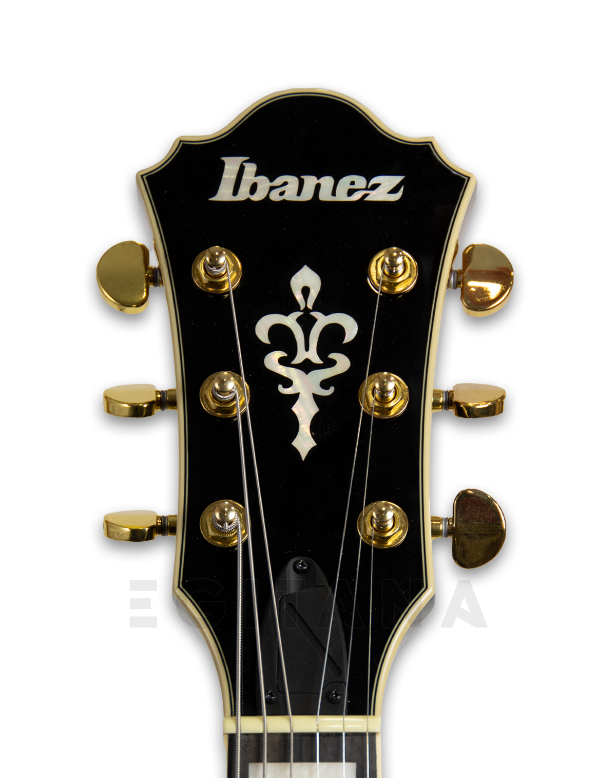 ibanez-as93fm-vls_5fbe732262c87.jpg