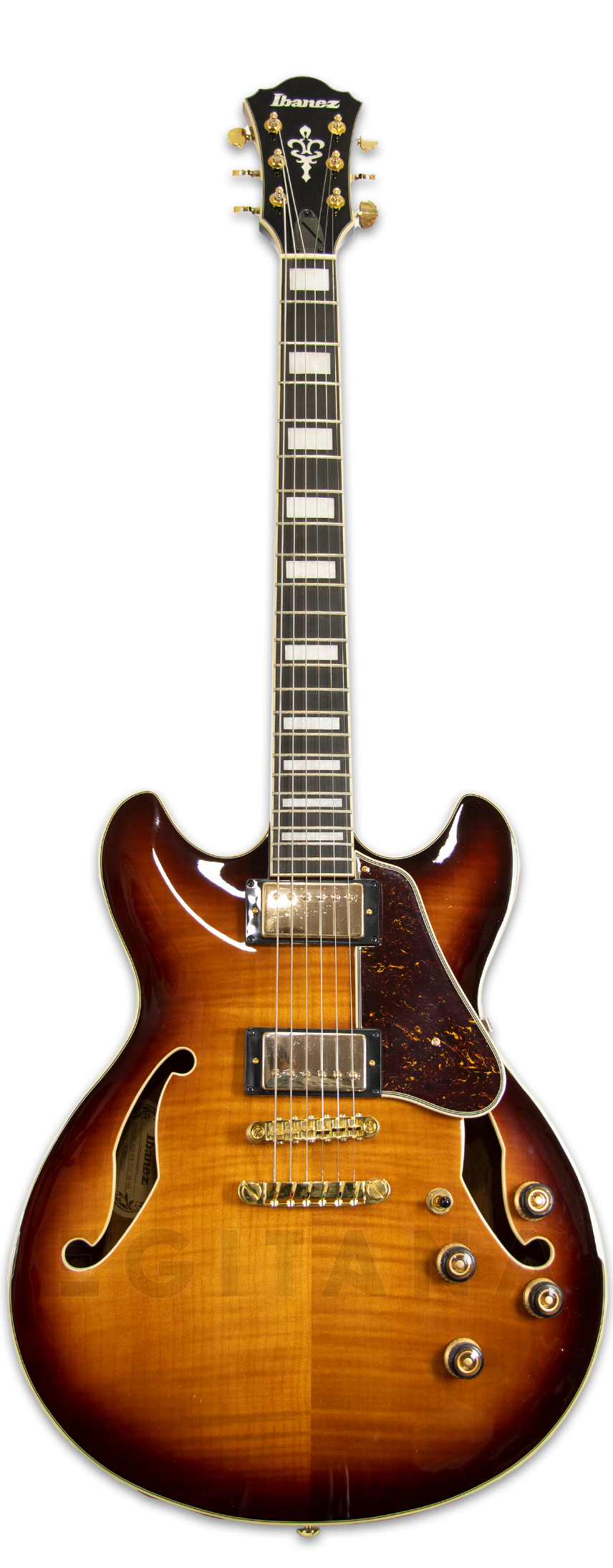 ibanez-as93fm-vls_5fbe732623b0f.jpg