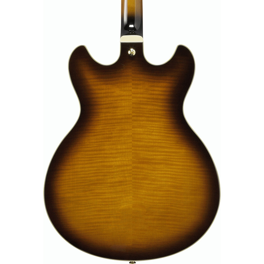 ibanez-as93fml-vls_6365430649aa7.jpg