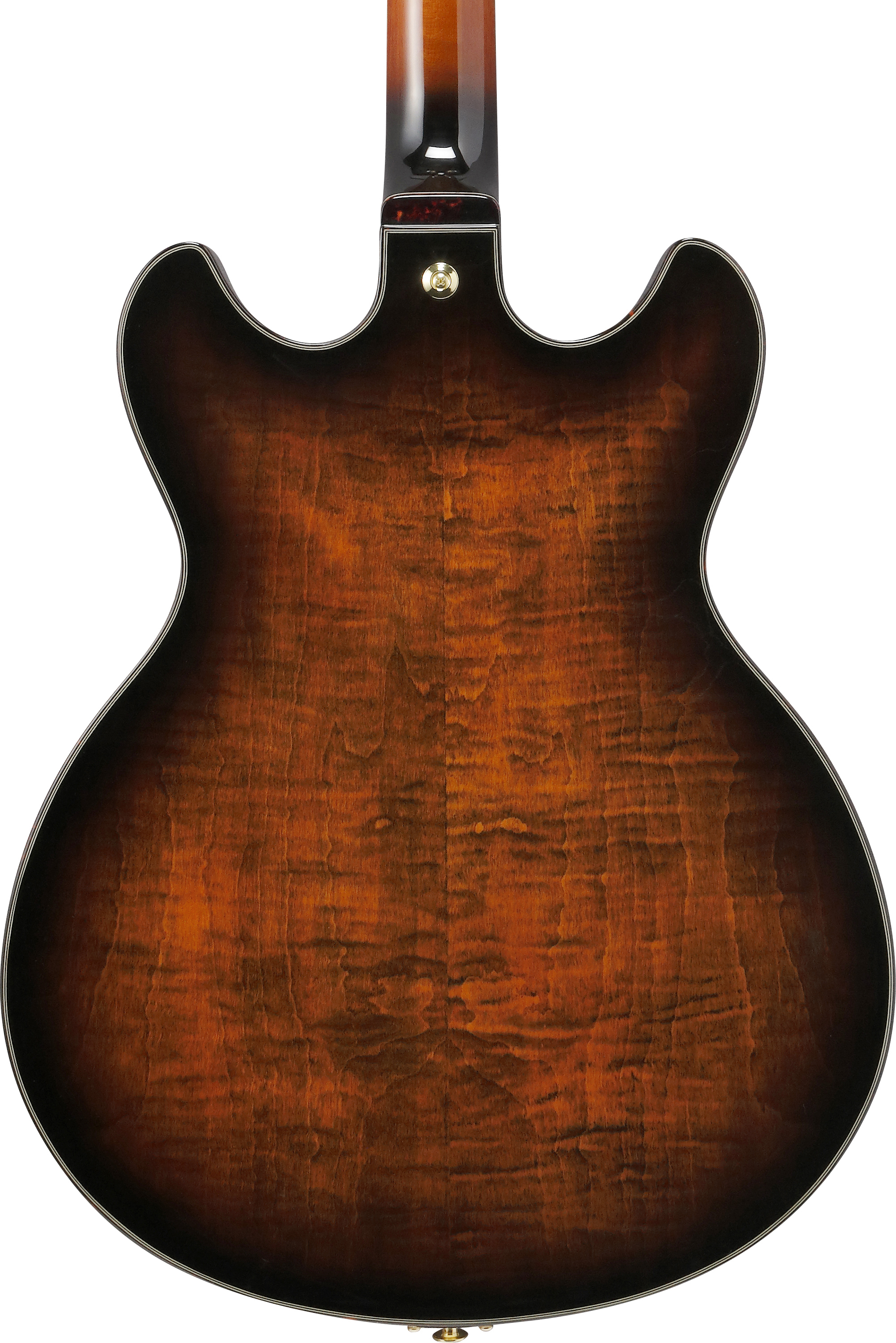 ibanez-ash300-tbc_6981bd9525789.jpg