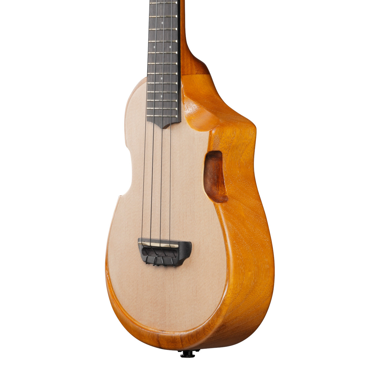 ibanez-auc10e-opn_65b2926a441bf.jpg
