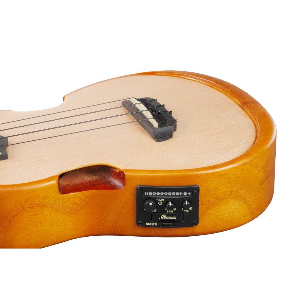 ibanez-auc10e-opn_65b2927351336.jpg