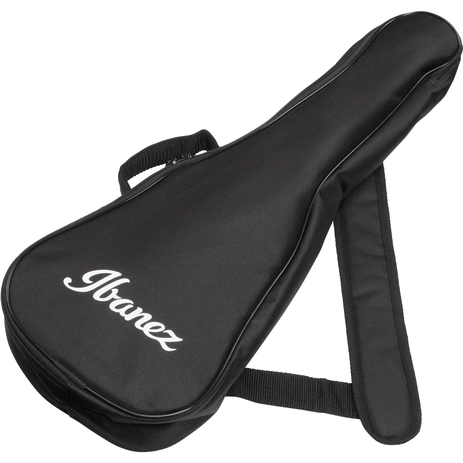 ibanez-auc10e-opn_65b2928461d05.jpg