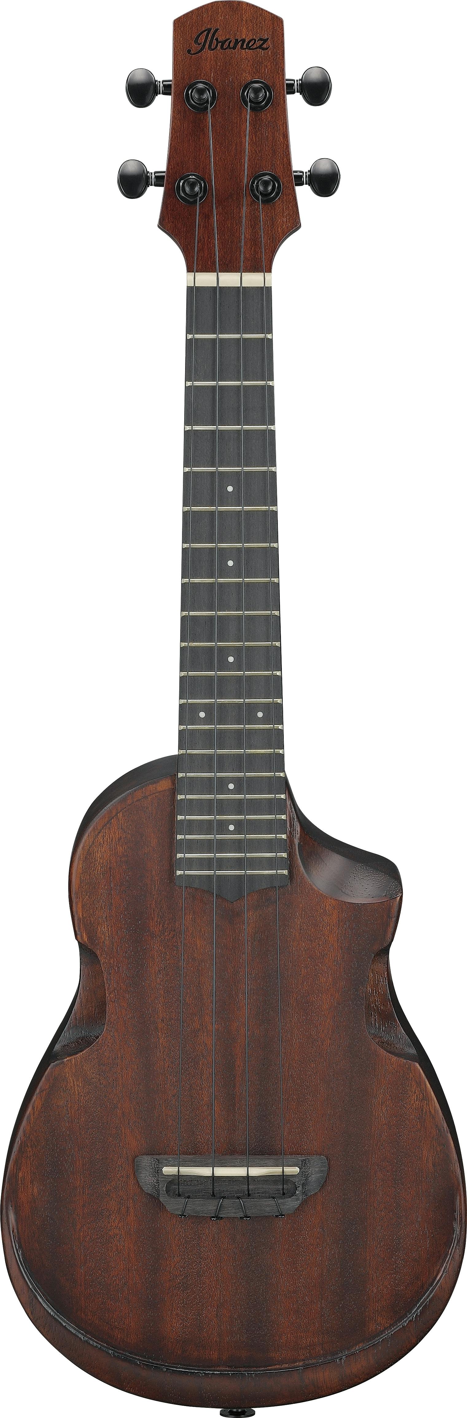 ibanez-auc14-ovl_65b2940af1bdd.jpg