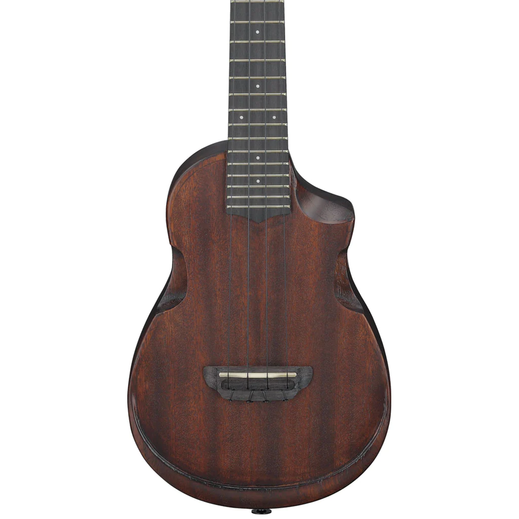 ibanez-auc14-ovl_65b294109723c.jpg
