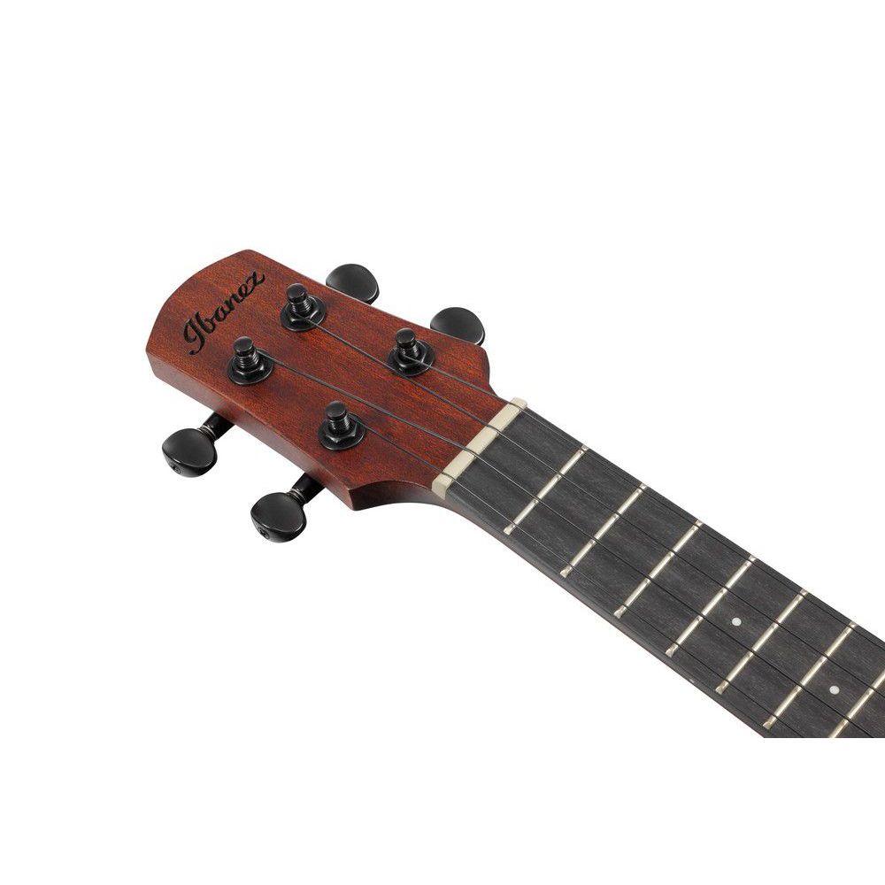 ibanez-auc14-ovl_65b2941467459.jpg