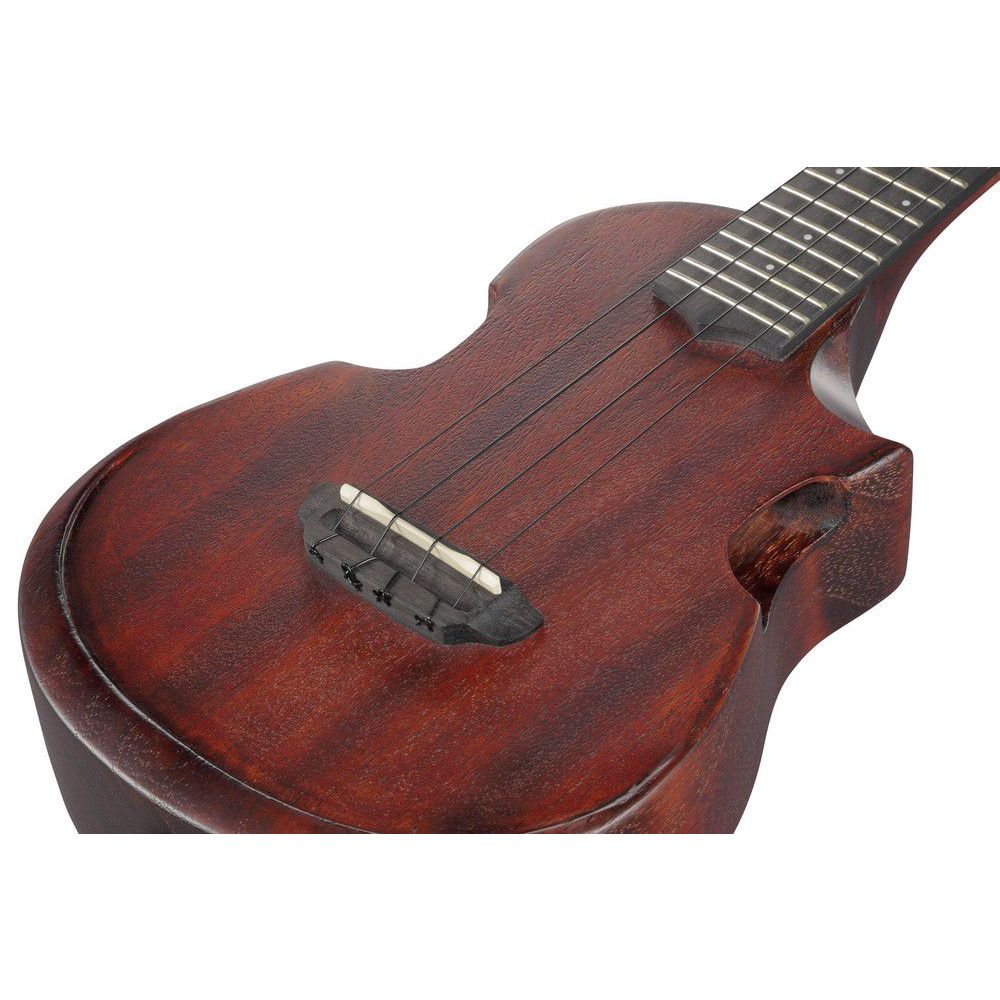 ibanez-auc14-ovl_65b294181e56b.jpg