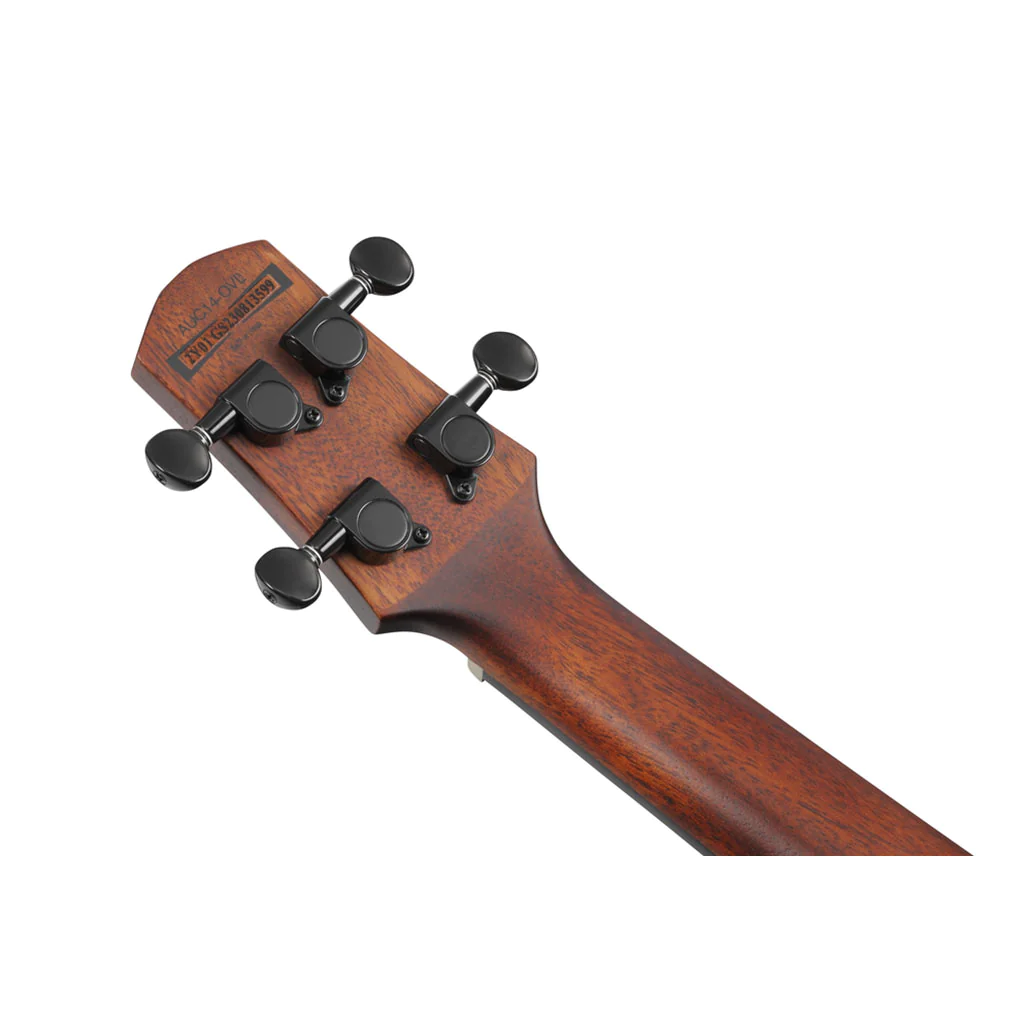 ibanez-auc14-ovl_65b2941bdf50e.jpg
