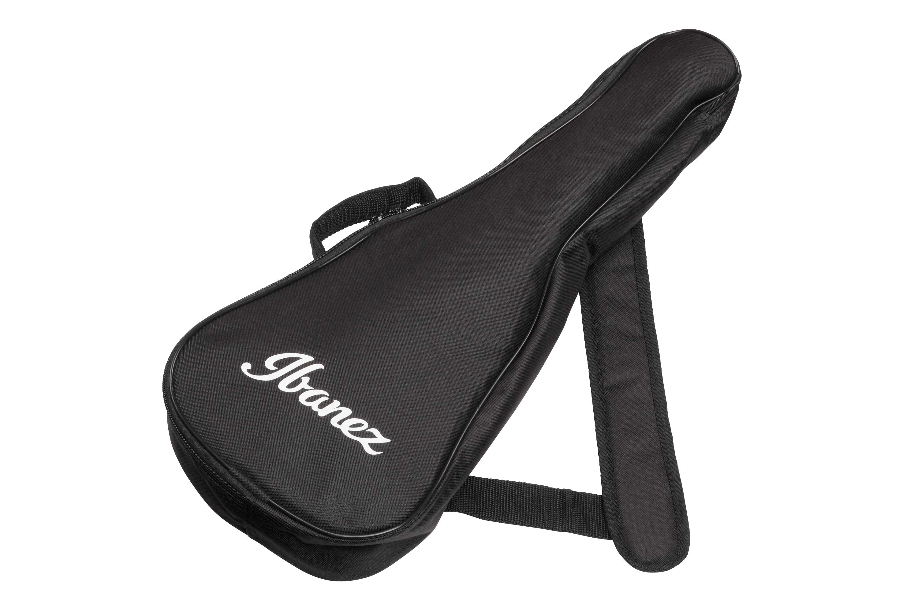 ibanez-auc14-ovl_65b2941fad1e5.jpg