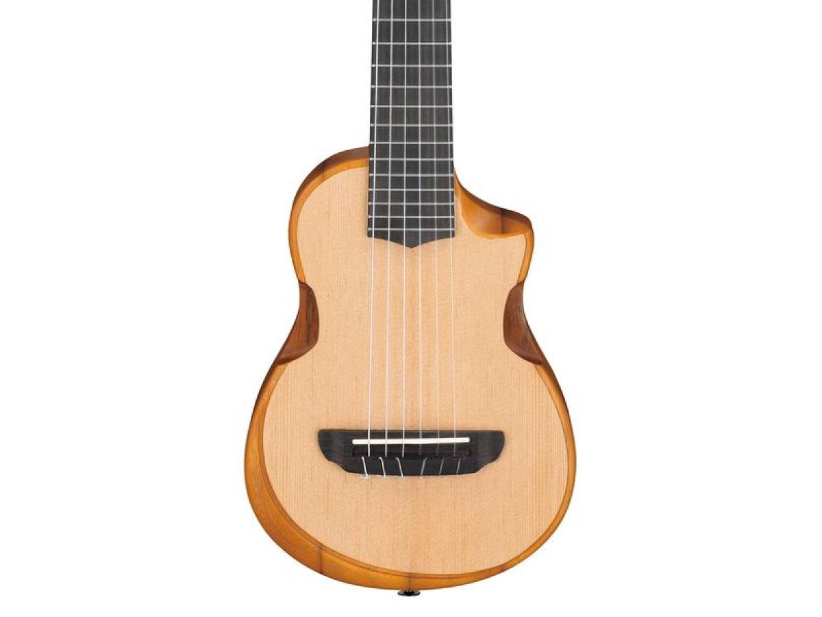 ibanez-aup10n-opn_65ba1265b60d9.jpg