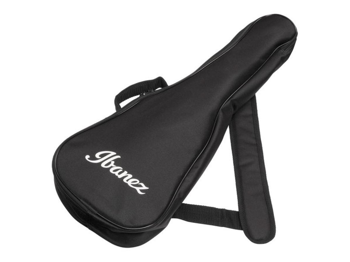 ibanez-aup10n-opn_65ba1271cd02c.jpg