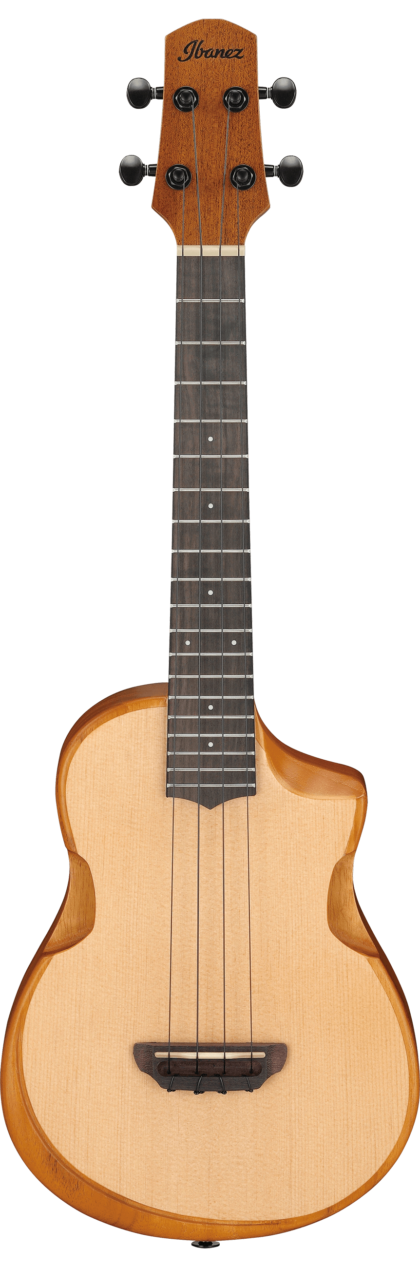 ibanez-aut10-opn_65ba12fd8fca9.jpg