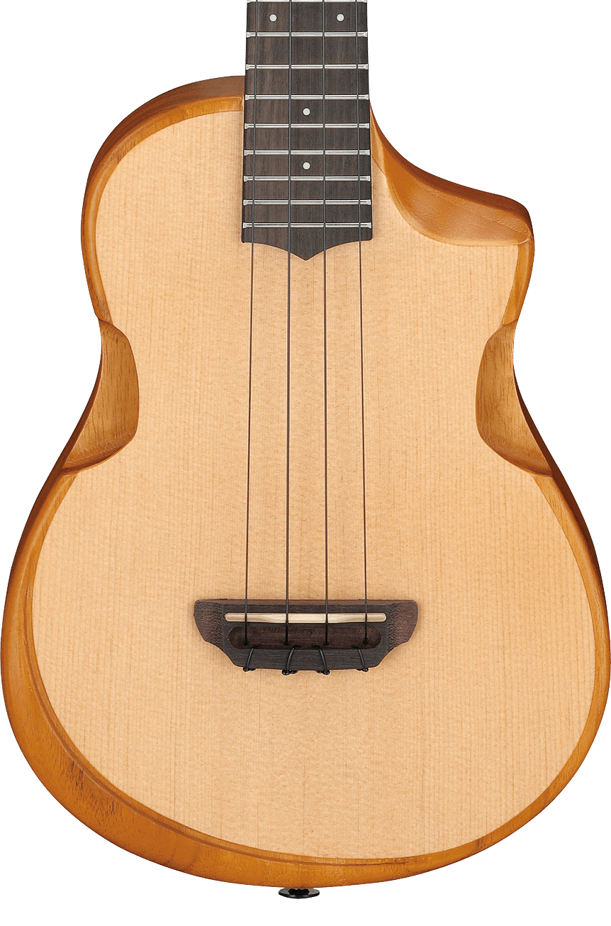 ibanez-aut10-opn_65ba13026cb45.jpg