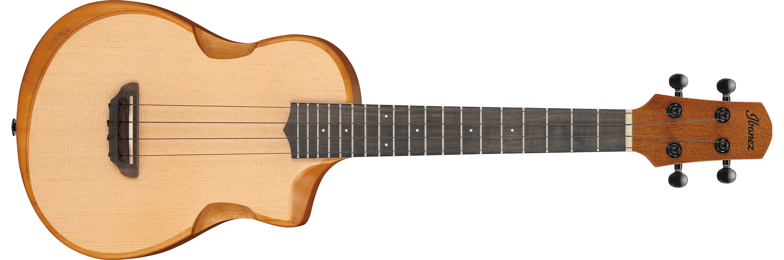 ibanez-aut10-opn_65ba1306adf8b.jpg