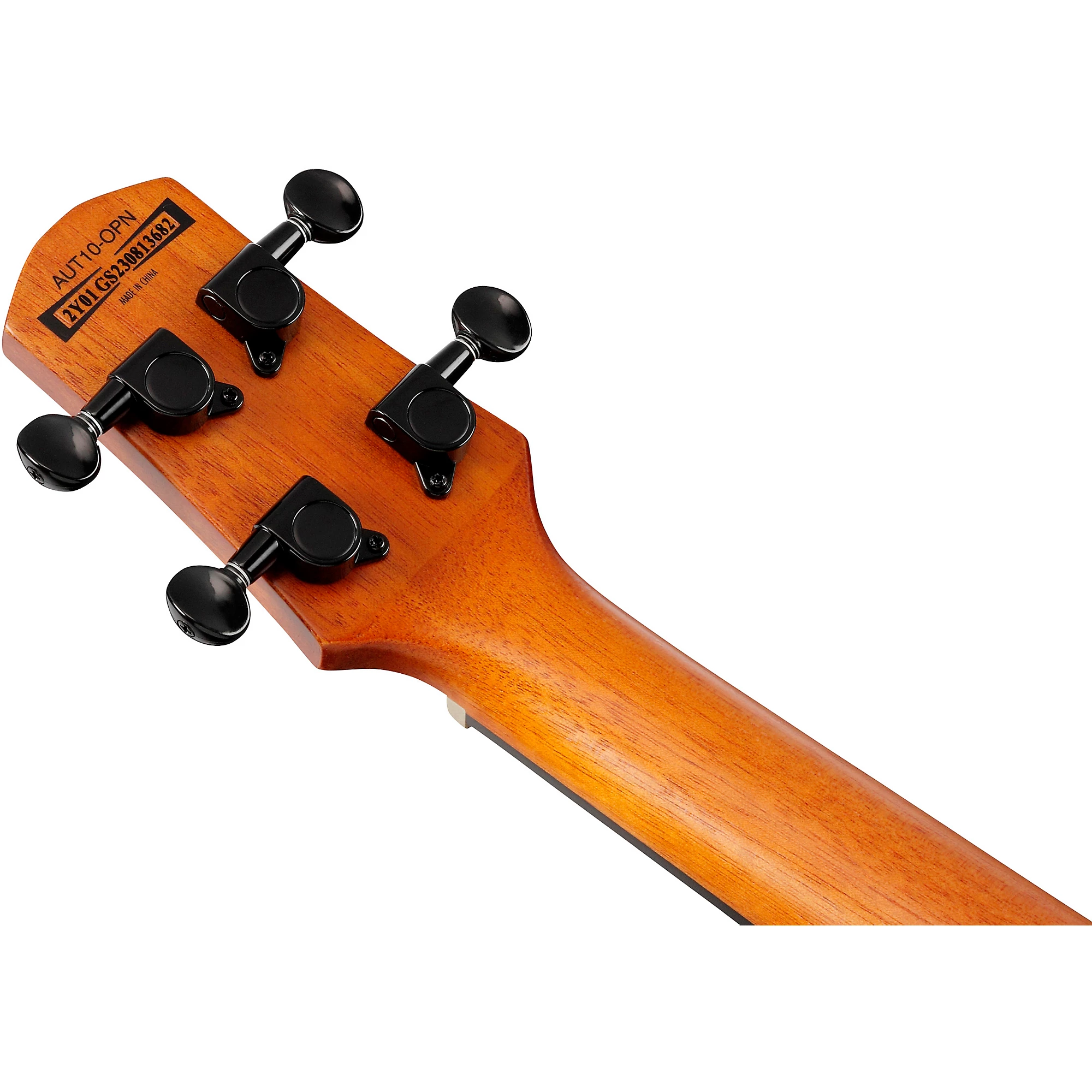 ibanez-aut10-opn_65ba130b49159.jpg