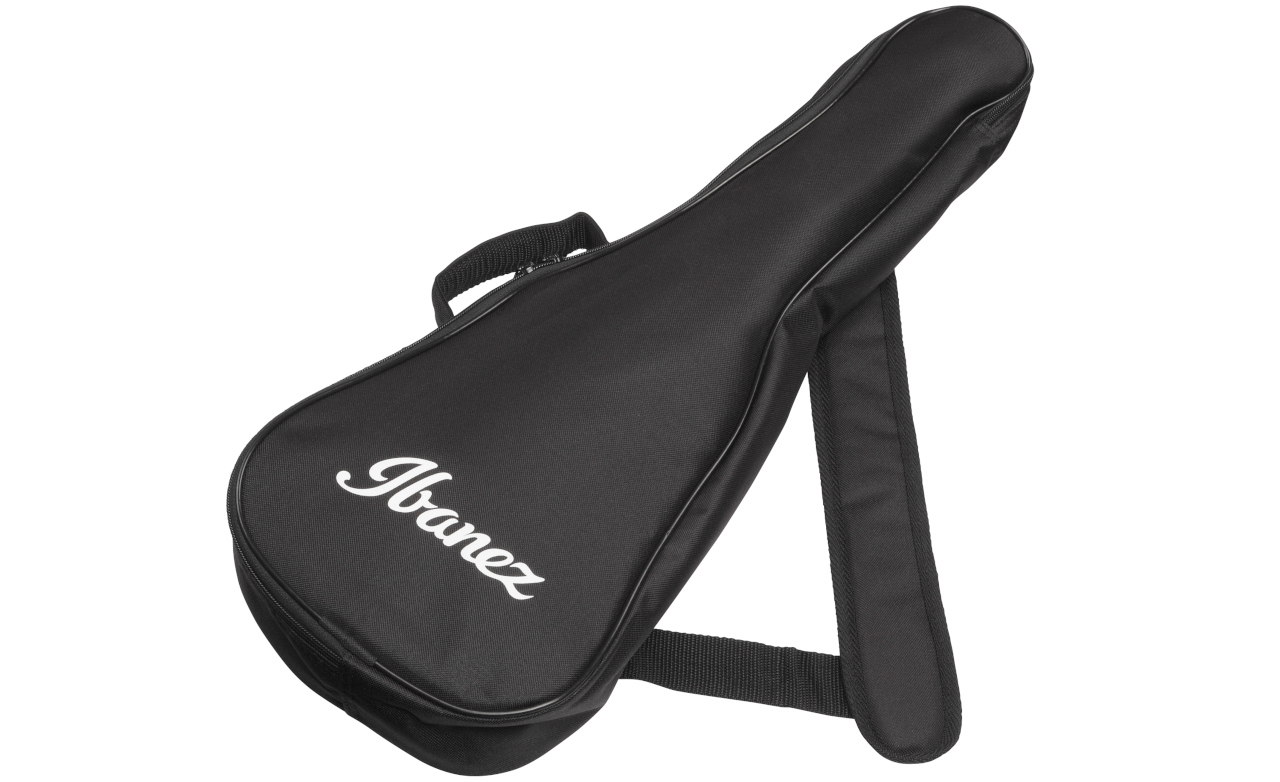 ibanez-aut10-opn_65ba1313acfe9.jpg