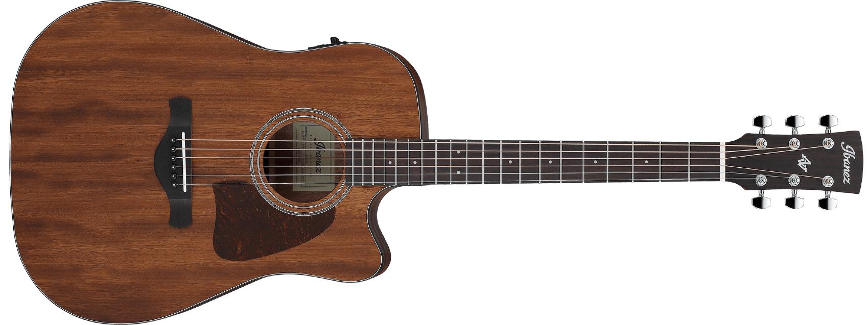 ibanez-aw247ce-opn_63cfea9eb33ac.jpg