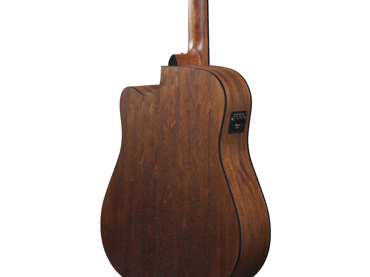 ibanez-aw247ce-opn_63cfea9fb8c17.jpg