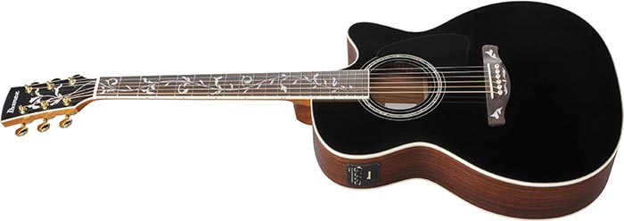 ibanez-aw391rce-bkh_68c15bf2b7117.jpg
