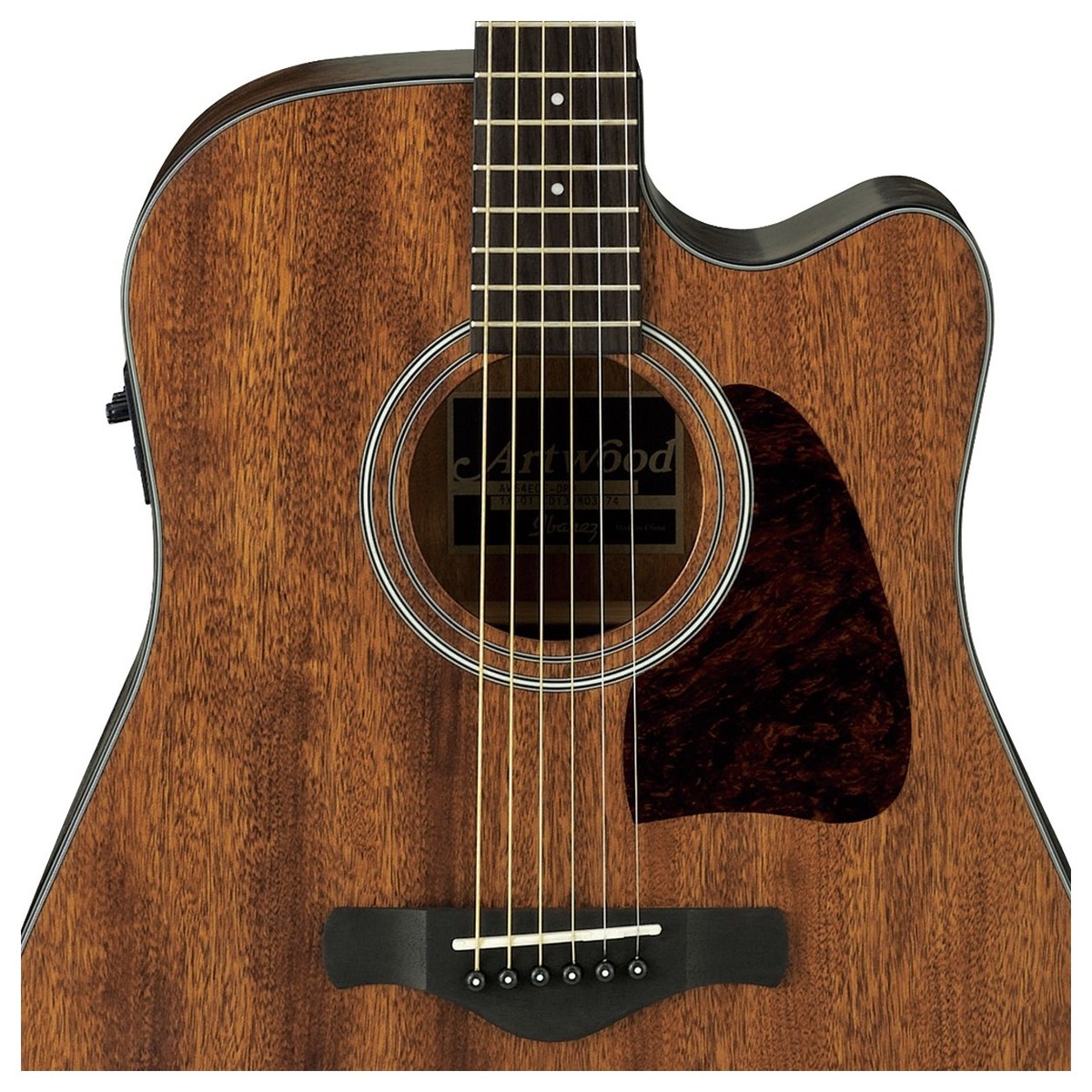 ibanez-aw54ce-opn_5caf6e223a0ff.jpg