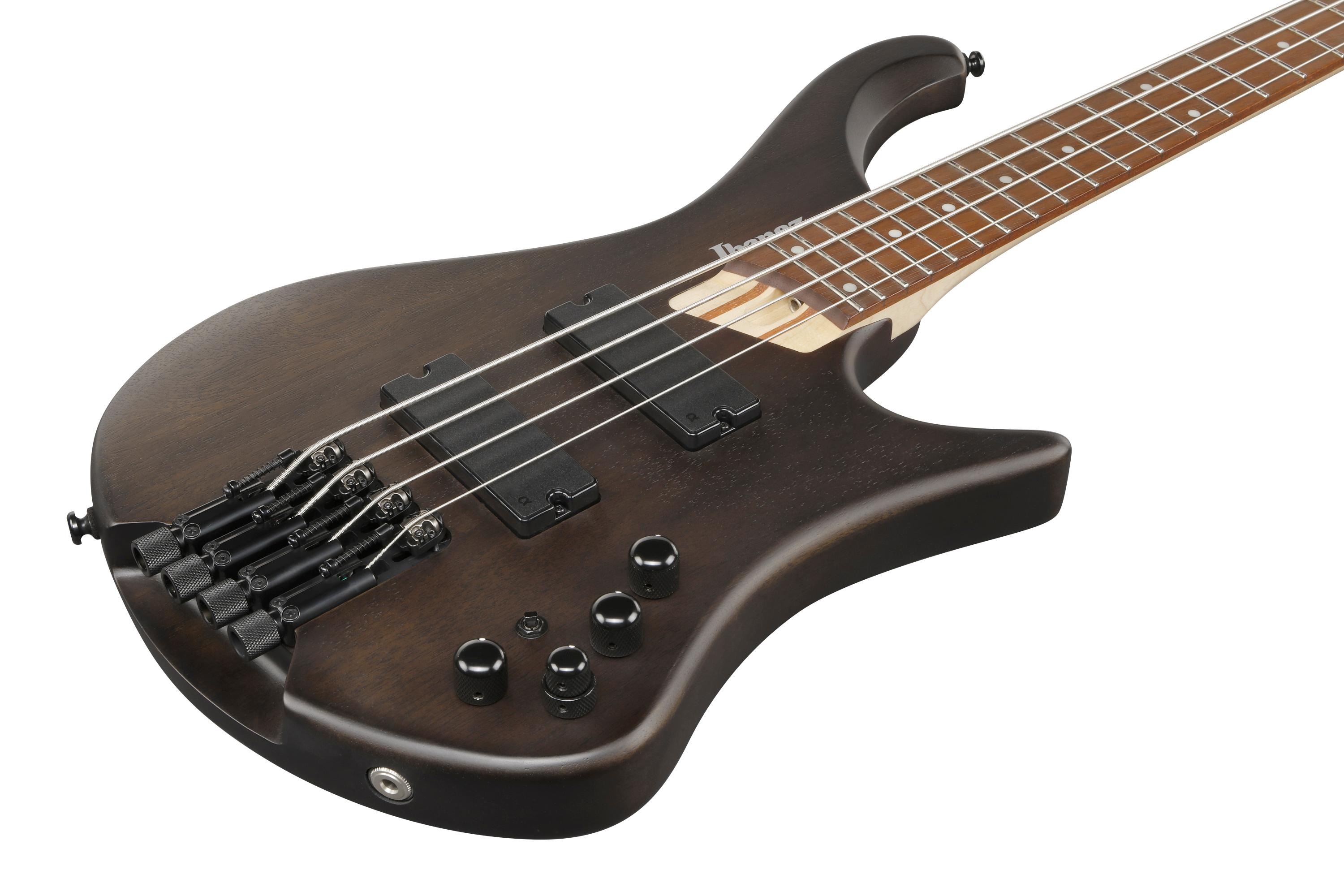 ibanez-ehb600-wnf-walnut-flat_691dfa15c5558.jpg