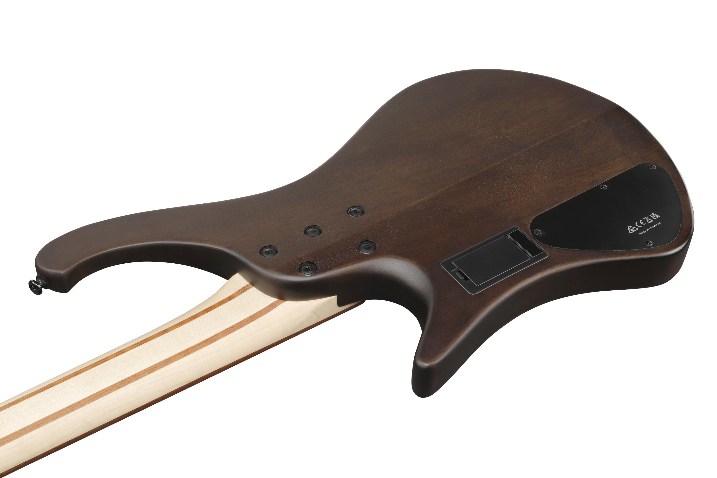 ibanez-ehb600-wnf-walnut-flat_691dfa18def7b.jpg