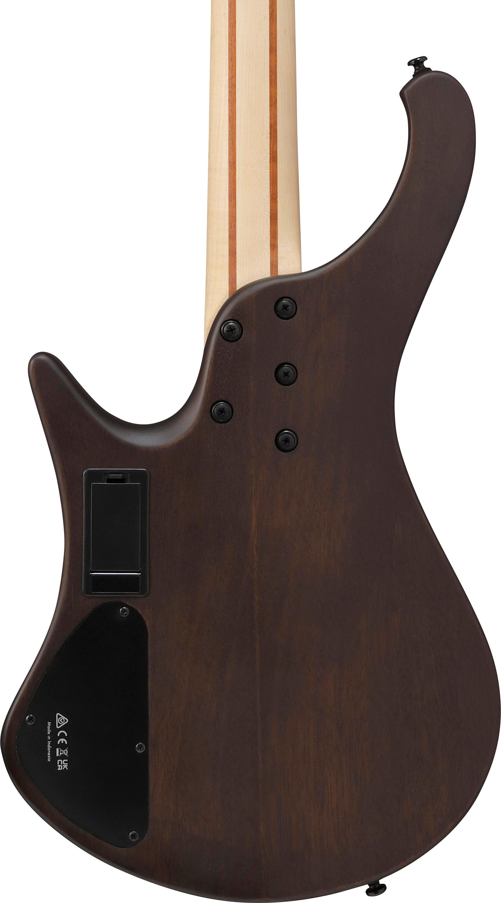 ibanez-ehb600-wnf-walnut-flat_691dfa1acc887.jpg