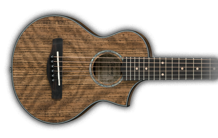 ibanez-ewp12ewb-opn-piccolo_63cfeb3e52263.jpg