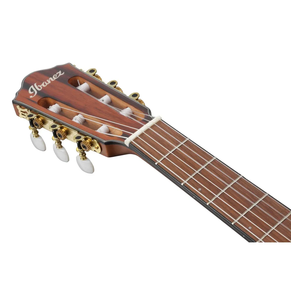 ibanez-frh10n-bsf_63fc7e1b83fde.jpg