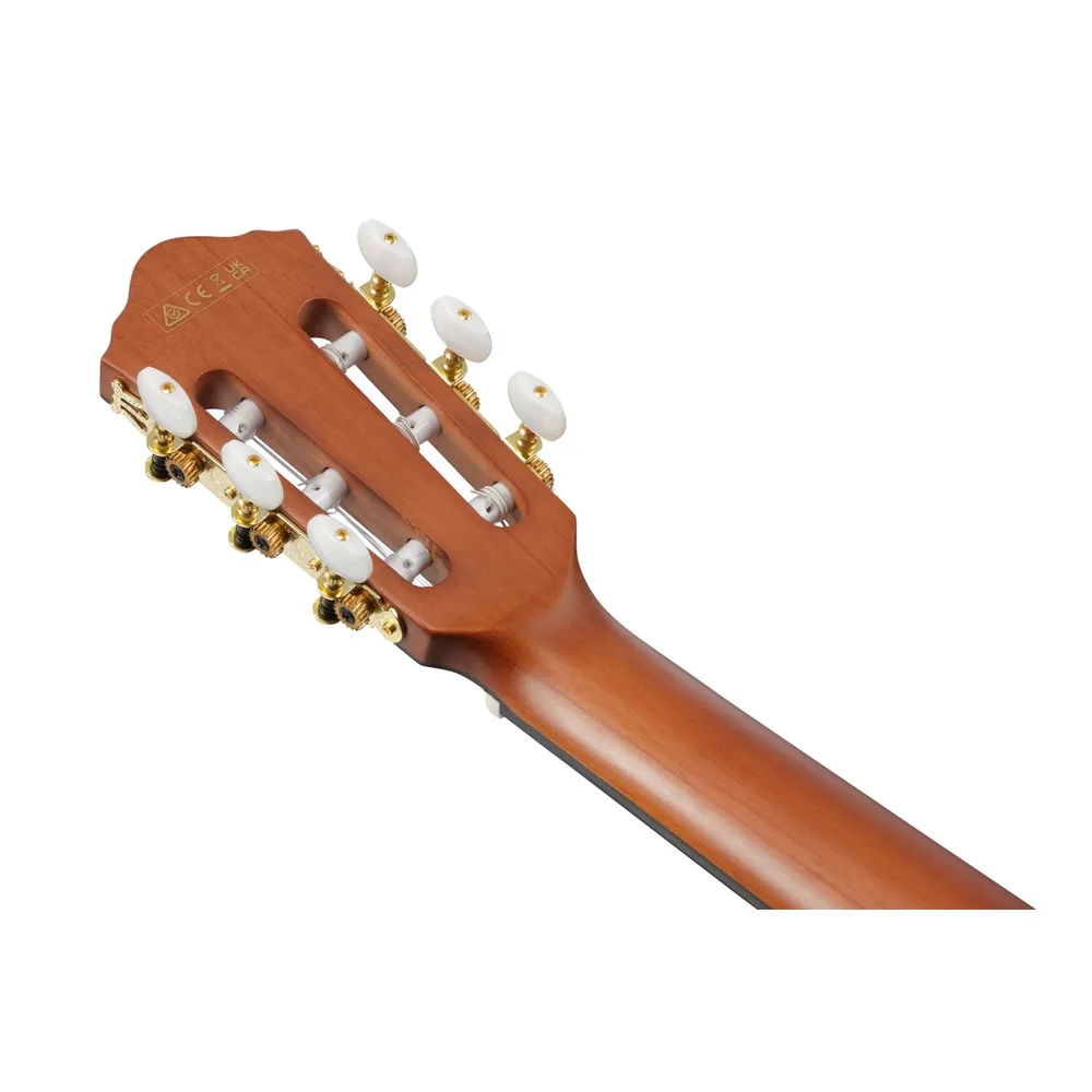 ibanez-frh10n-bsf_63fc7e1be85c8.jpg