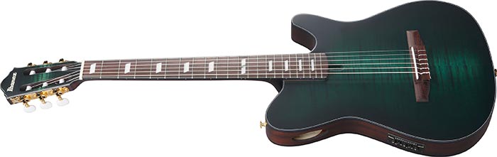 ibanez-frh20fmn-dgl_68f101ed93d24.jpg