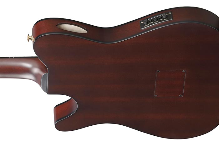 ibanez-frh20qmn-wrl_68f104962a35a.jpg