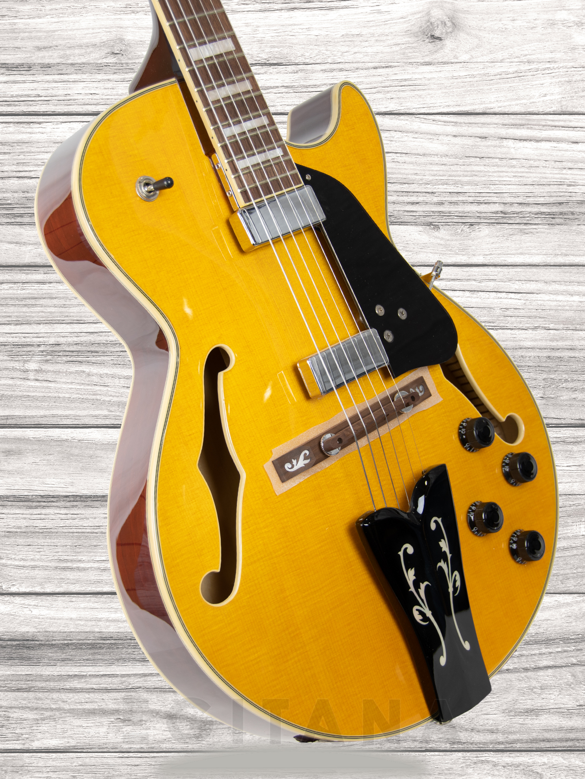 ibanez-gb10em-aa_6092c708989d7.jpg