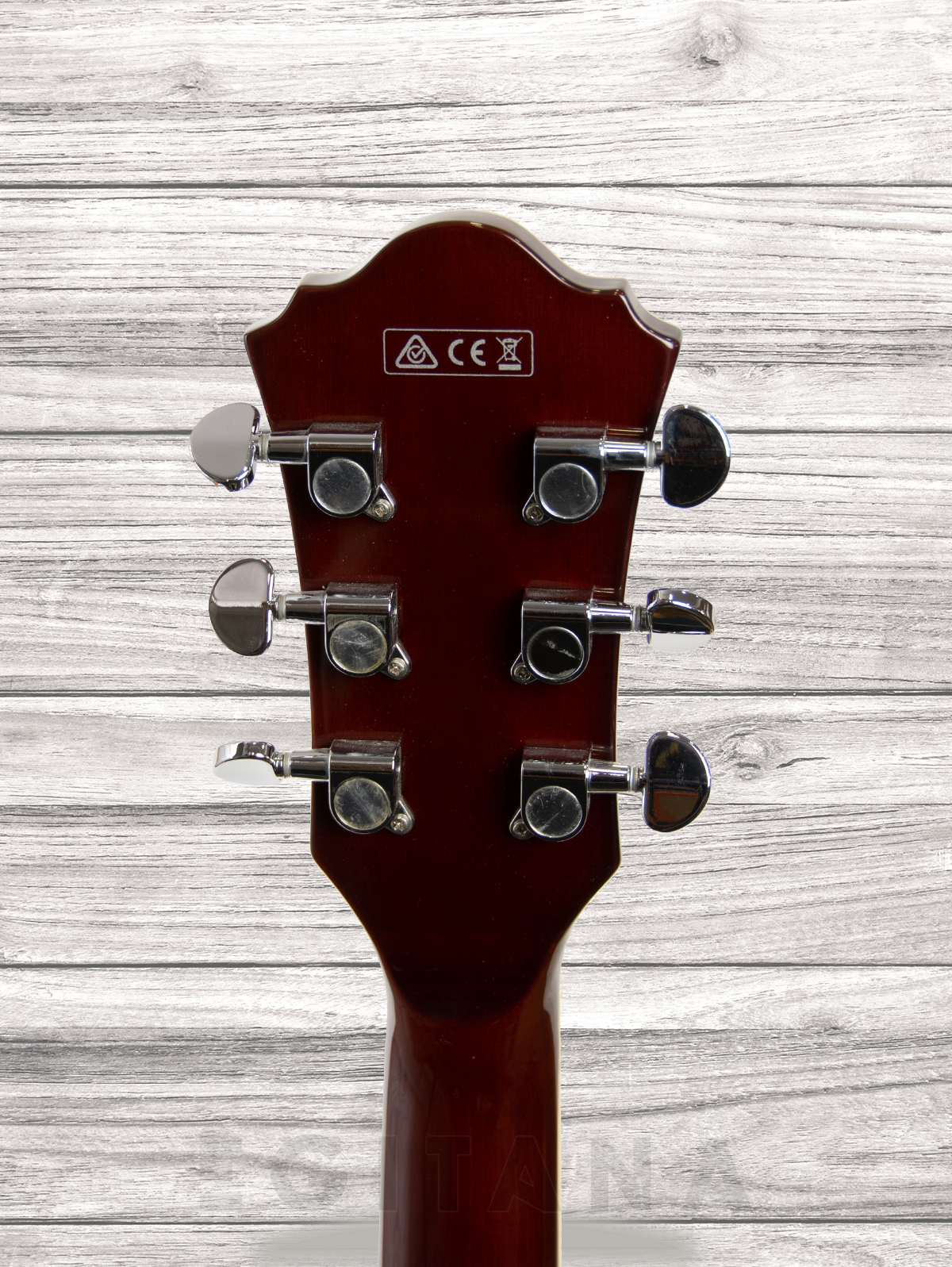 ibanez-gb10em-aa_6092c70aa3b35.jpg