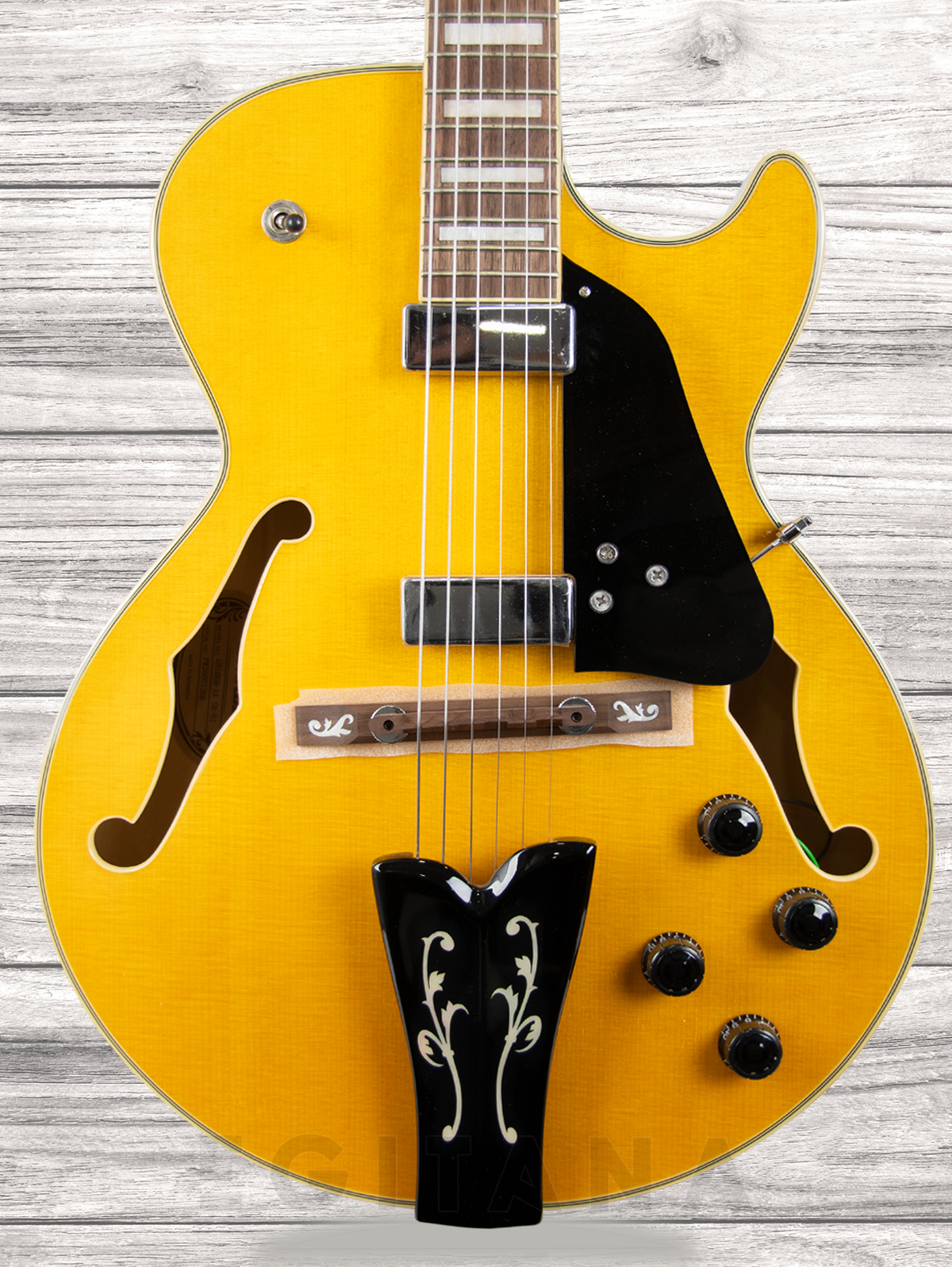 ibanez-gb10em-aa_6092c70b9472a.jpg