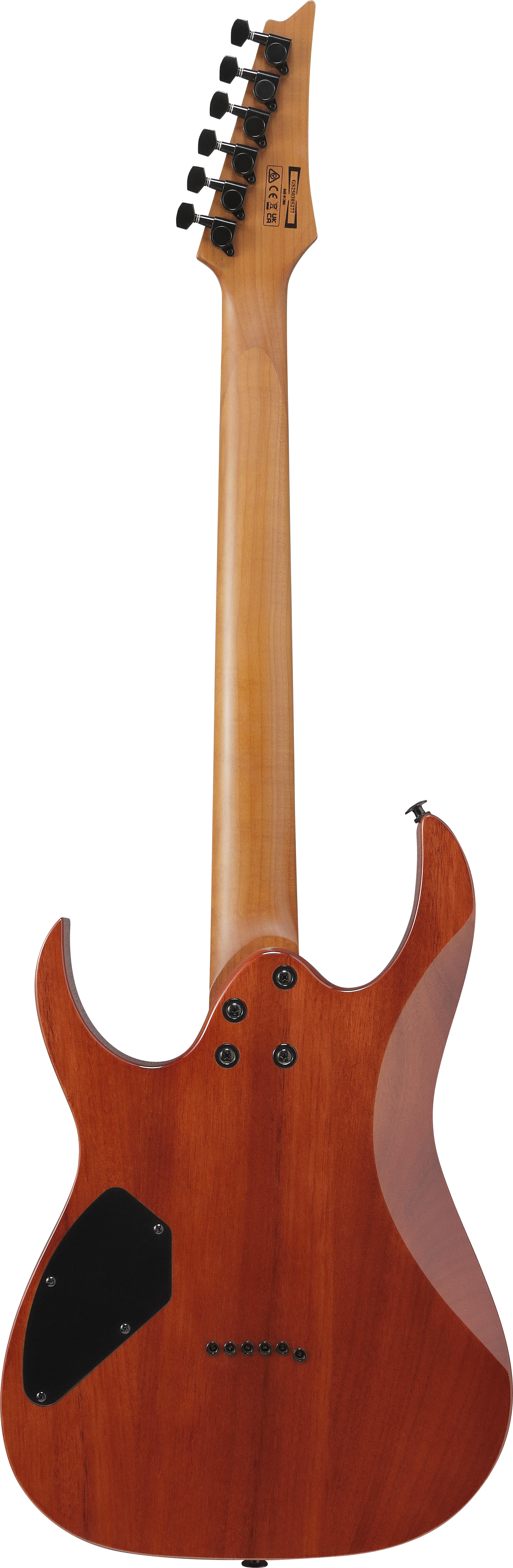 ibanez-grgr221fa-tdk_69676fe56ecc9.jpg