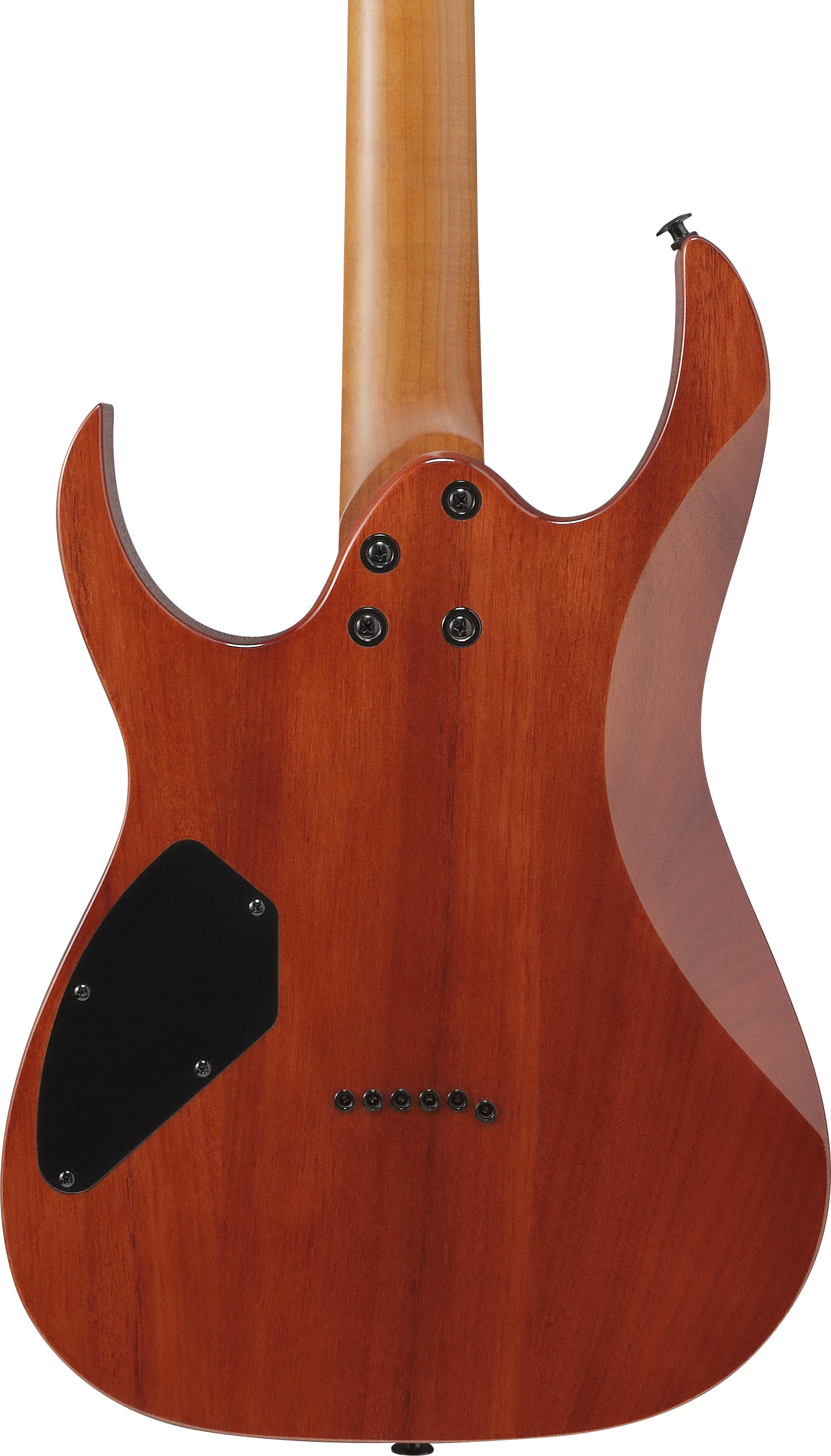 ibanez-grgr221fa-tdk_69676fecc9f13.jpg