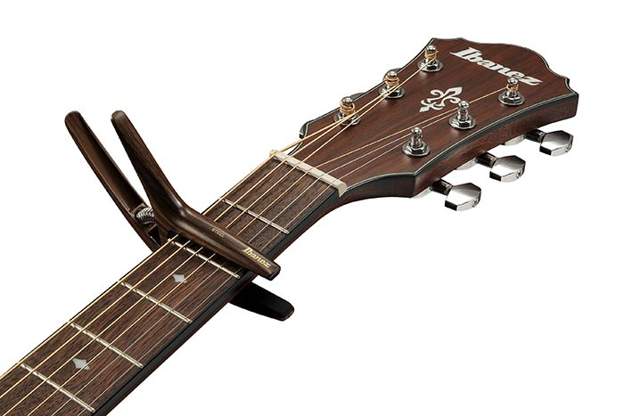ibanez-icgc10w_69b283bcac85e.jpg