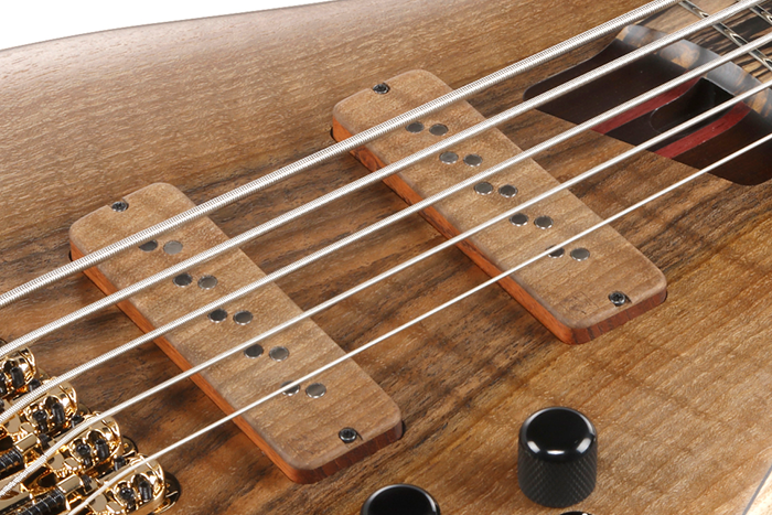 ibanez-iv1sr_697a24ef1ceb1.png