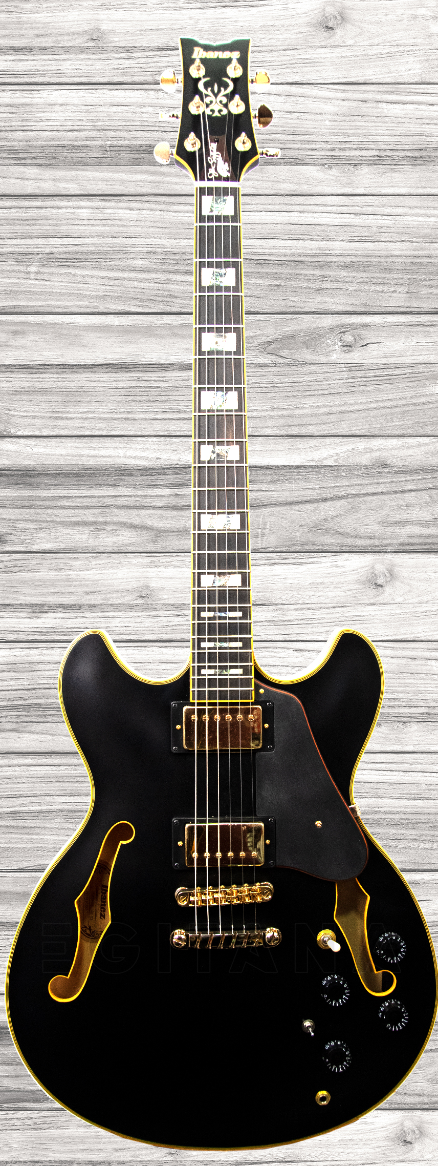 ibanez-jsm-20-black-low-gloss_5f5f8baa2b19d.jpg