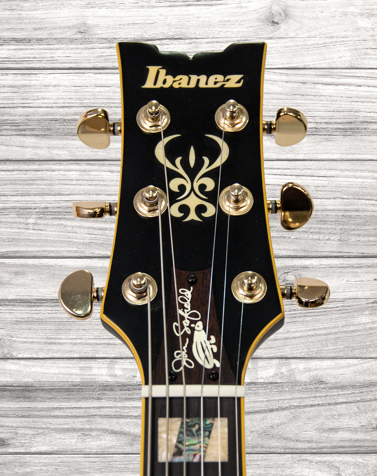 ibanez-jsm-20-black-low-gloss_5f5f8bac5a7af.jpg