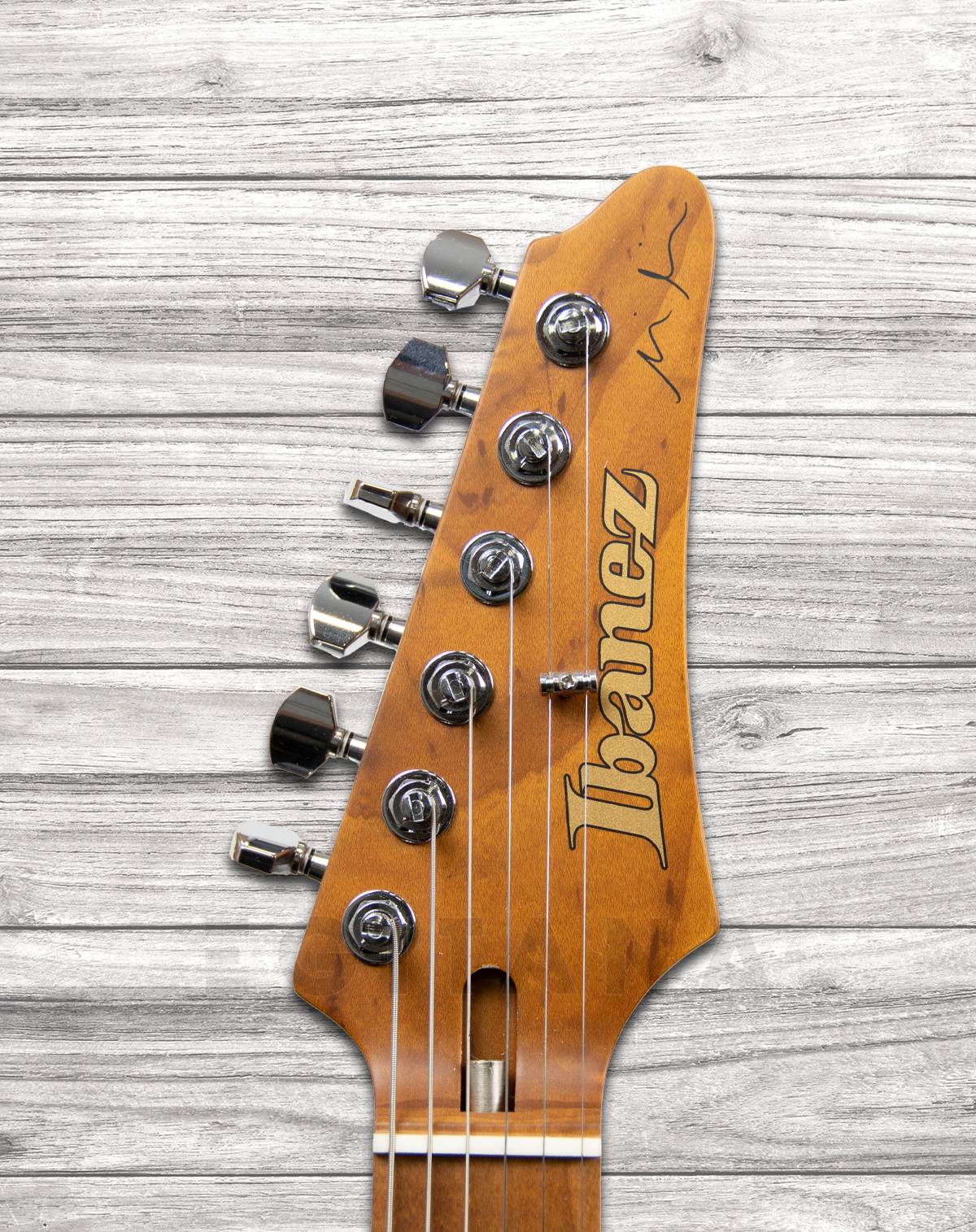 ibanez-mm1-tab-martin-miller-_5fca32b1cea87.jpg