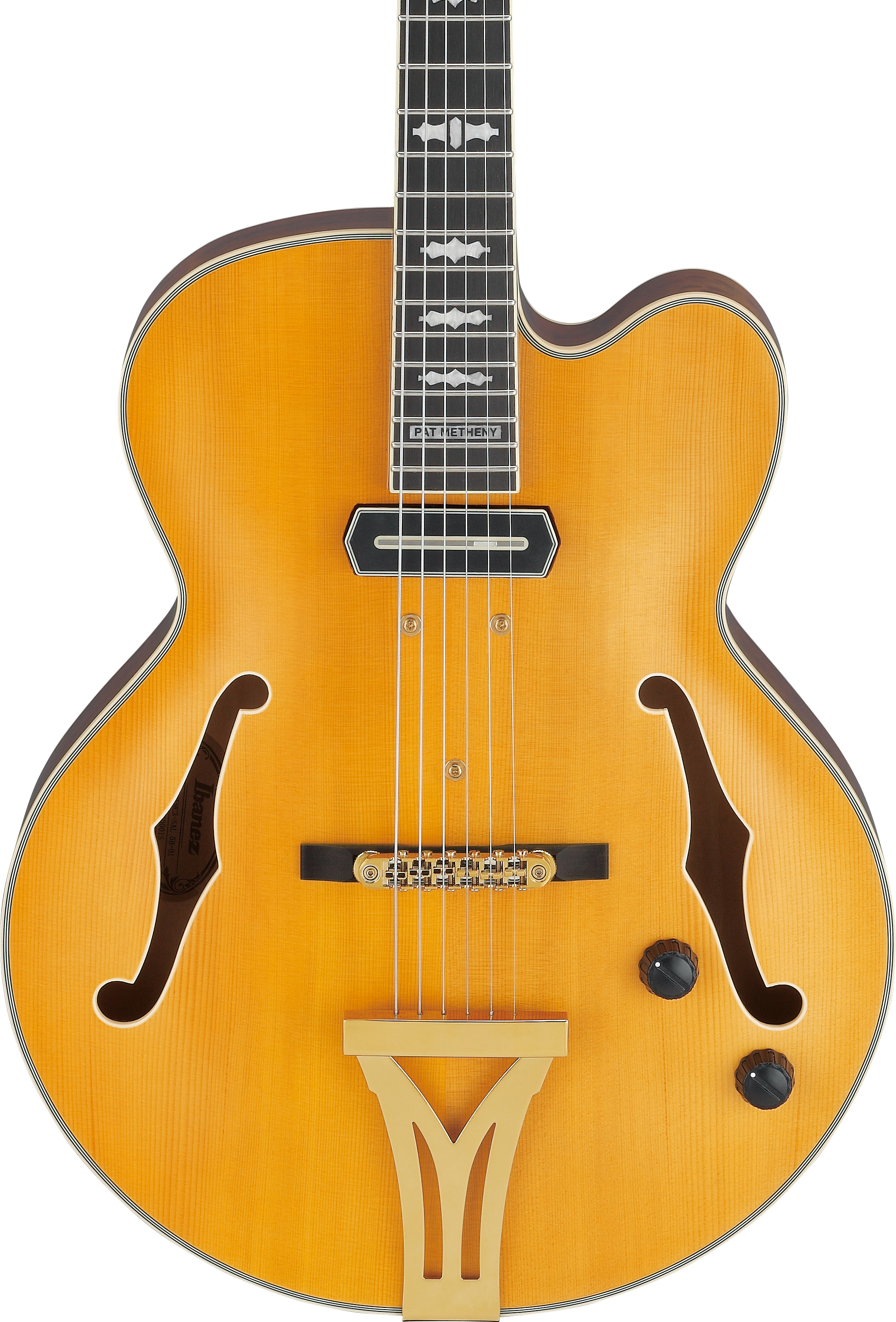 ibanez-pm3c-nal-pat-metheny_68650f7946738.jpg