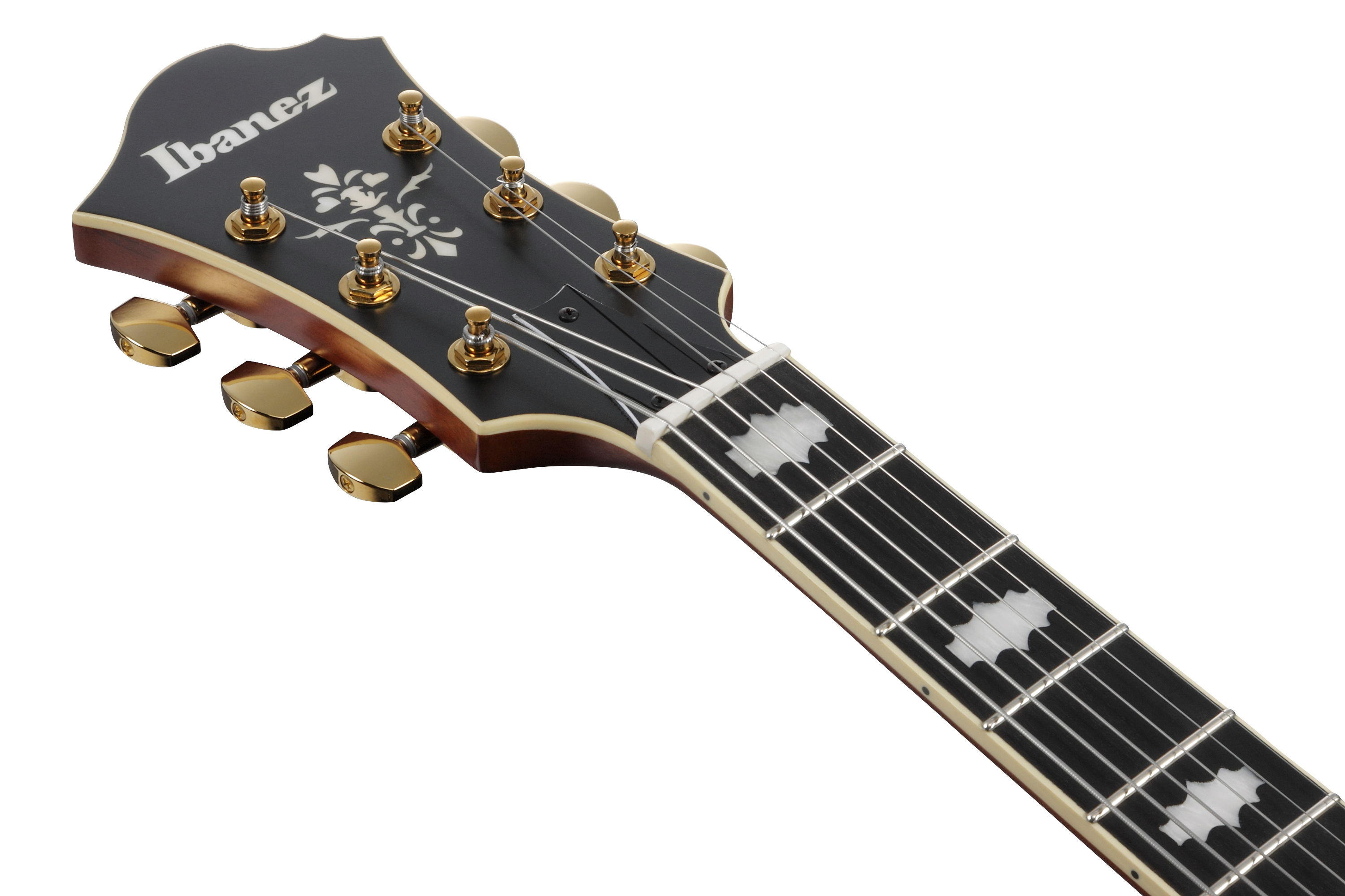 ibanez-pm3c-nal-pat-metheny_68650f88a84d7.jpg