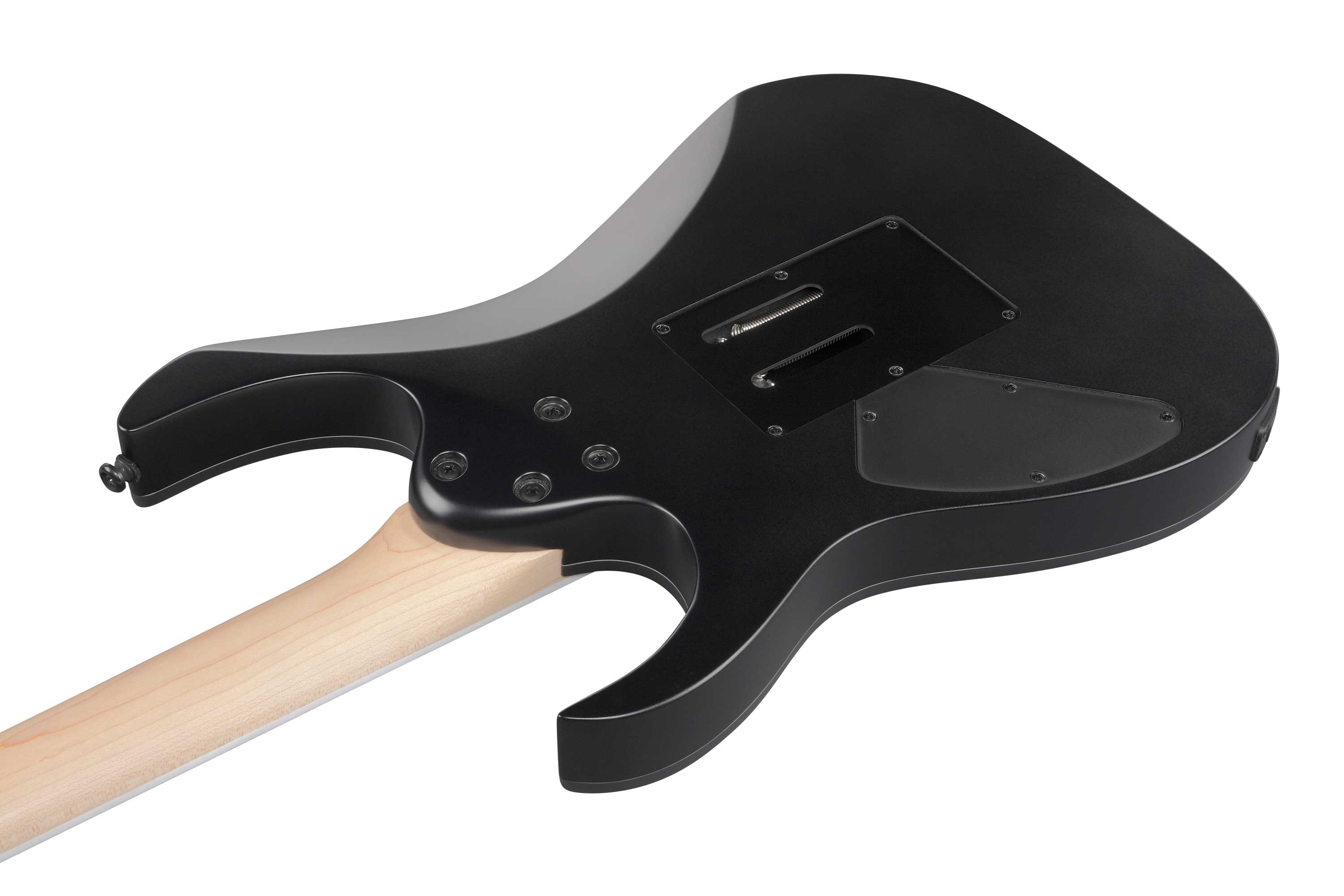 ibanez-rg420ex-bkf_65d38e76ca1bb.jpg