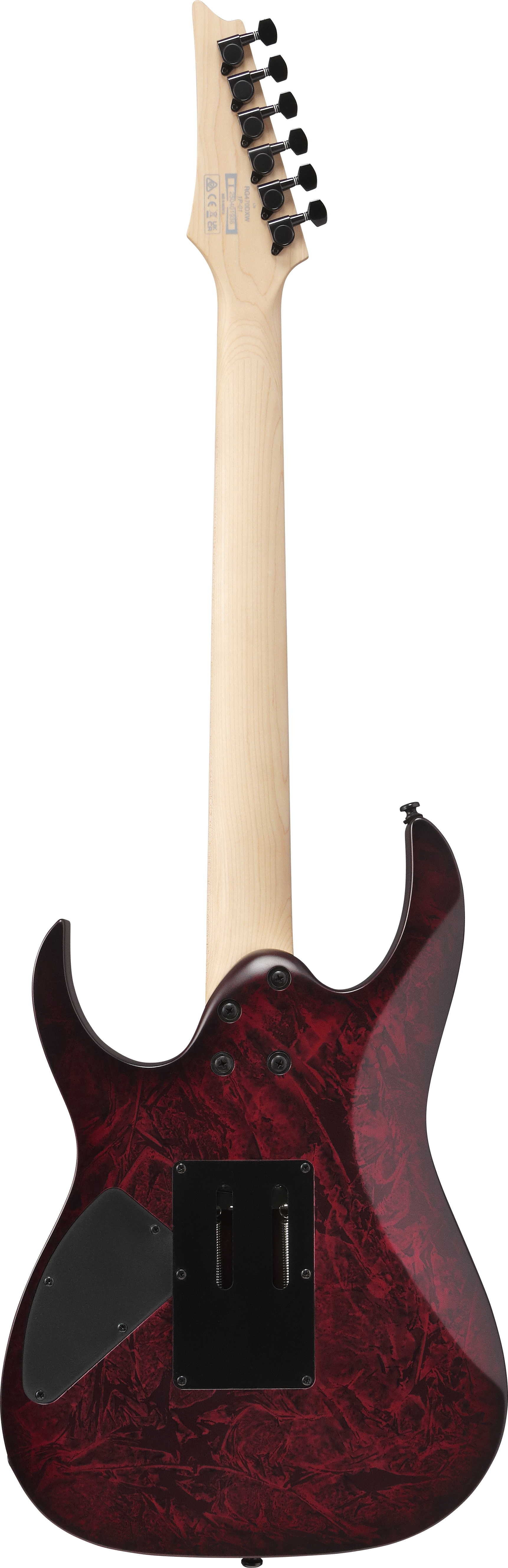 ibanez-rg470dxw-wzm_6981c1fc5ebad.jpg