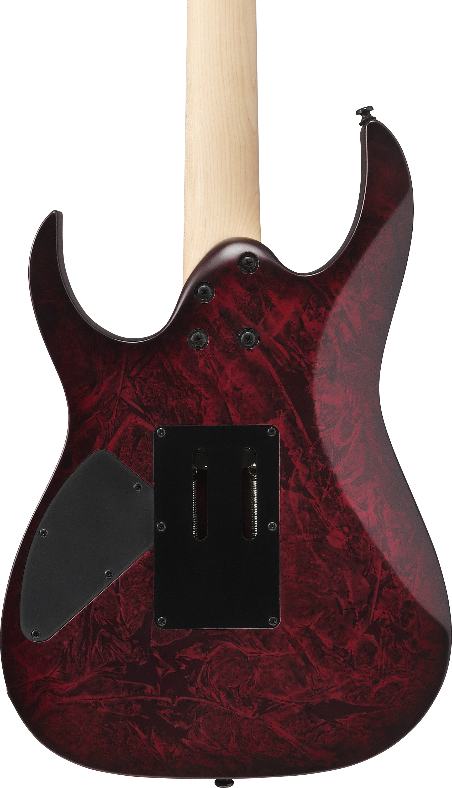 ibanez-rg470dxw-wzm_6981c203b99b0.jpg