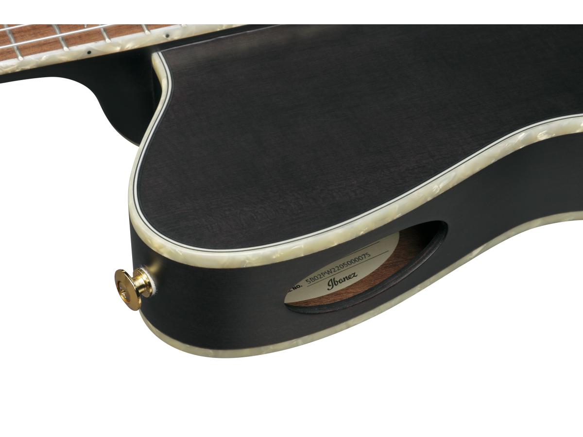 ibanez-signature-tim-henson-tod10n_6474cc749e2ee.jpg